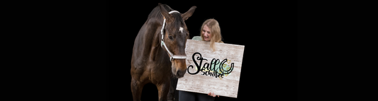 Wie alles begann: Die StallSchätze-Story