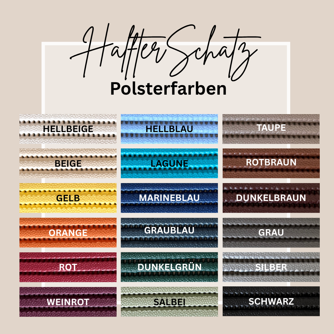 HalfterSchatz – das wandelbare Biothane-Halfter zum Führen, Longieren und Reiten