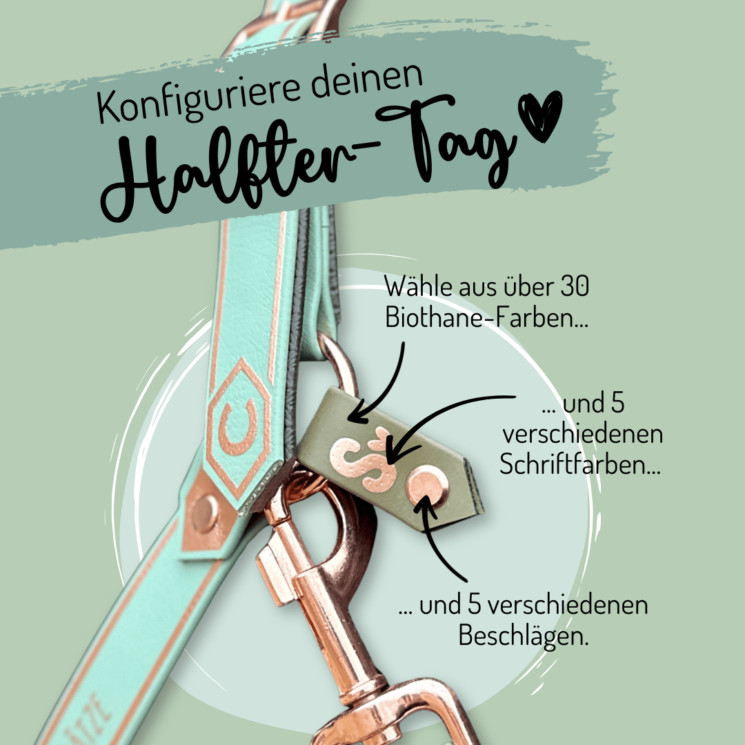 Abgebildet ist ein mintgrün-beiger StallSchätze Mini-Halfter-Tag mit goldenen Beschlägen. Deutscher Text unterstreicht Individualisierung: 30+ Biothane-Farben, 5 Schriftfarben und 5 Beschlagsarten. Hellgrüner Hintergrund.