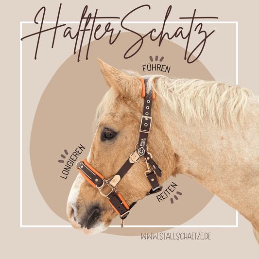 Ein hellbraunes Pferd trägt den HalfterSchatz, das wandelbare Biothane-Halfter von StallSchätze, in braun und orange. Abgebildet im Profil für die Verwendungszwecke: longieren, führen, reiten. www.stallschaetze.de.