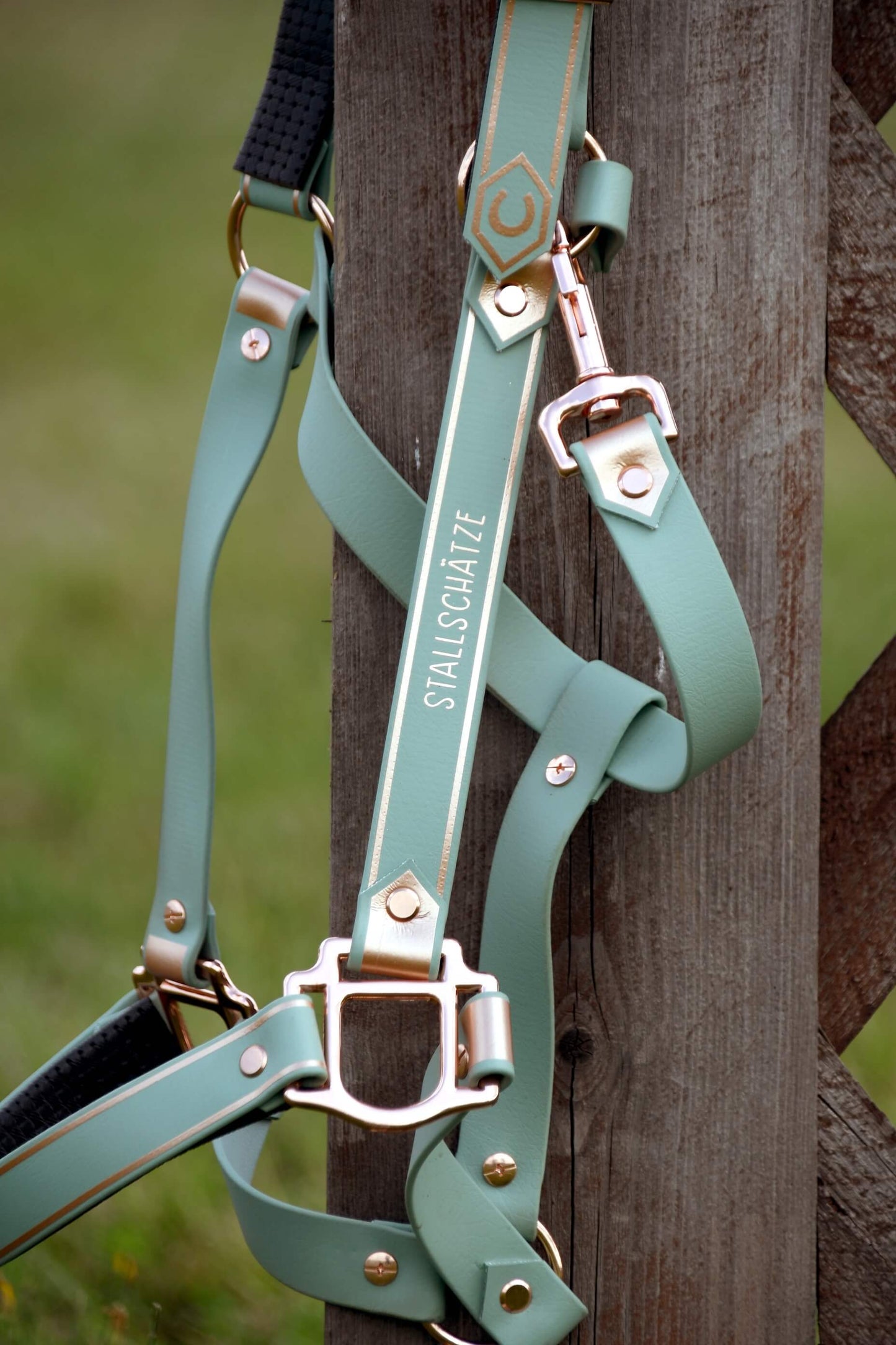 Deluxe Biothane-Halfter - Salbei/Rosegold