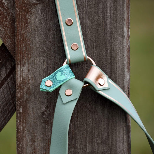 Eine Nahaufnahme eines mintgrünen Lederarmbands mit goldenen Akzenten und einem kleinen blauen StallSchätze Glitzer-Halfter-Tag, das mit Metallnieten an einem Holzzaun befestigt ist.