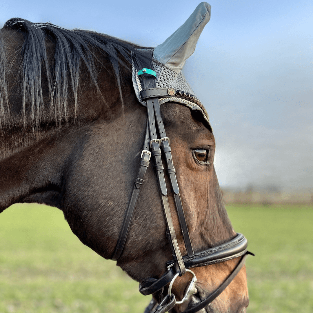 Nahaufnahme eines braunen Pferdes, das auf einer grünen Wiese steht und StallSchätze Fliegenohren-Clips (2 Stück) und eine Trense trägt, mit einem verschwommenen Himmel im Hintergrund.