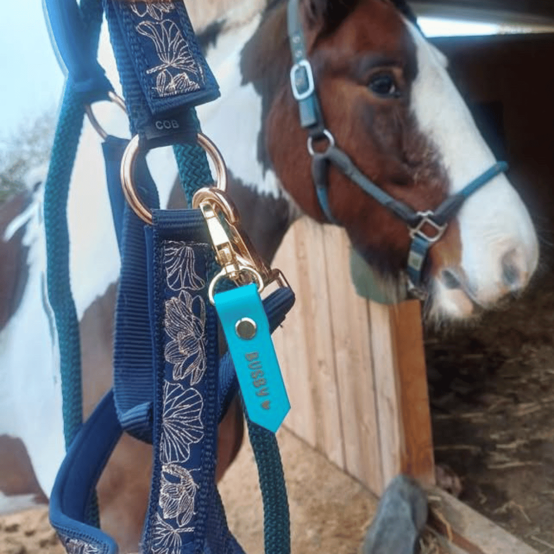 Eine Nahaufnahme eines blauen Pferdehalfters mit Blumenmuster zeigt eine StallSchätze Personalisierter Anhänger Halfter- & Strick-Beschriftung und ein Namensschild mit der Aufschrift AGGRA, während im Stallhintergrund ein braunes und weißes Pferd steht.