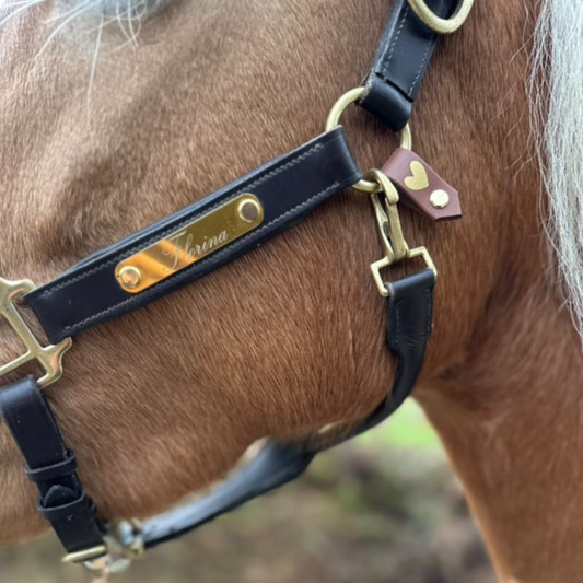 Nahaufnahme eines Pferdes mit hellbraunem Fell und weißer Mähne, das ein schwarzes Halfter von StallSchätze trägt, das mit dem Mini-Herz-Tag fürs Halfter versehen ist - einem braunen Lederanhänger mit gelbem Herz. Ein perfektes Geschenk für Reiterfreund*innen.