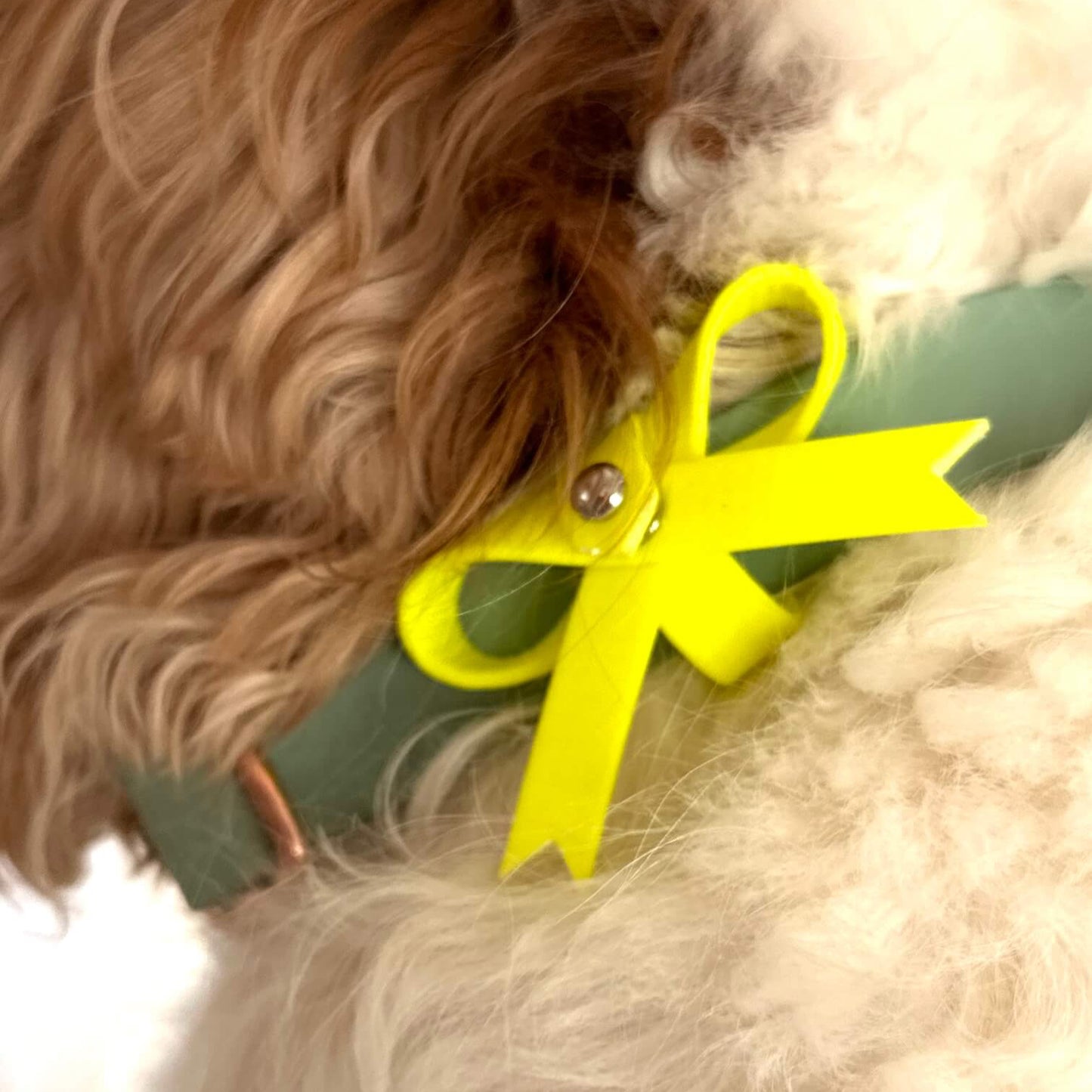 Gelbe Schleife für Hunde