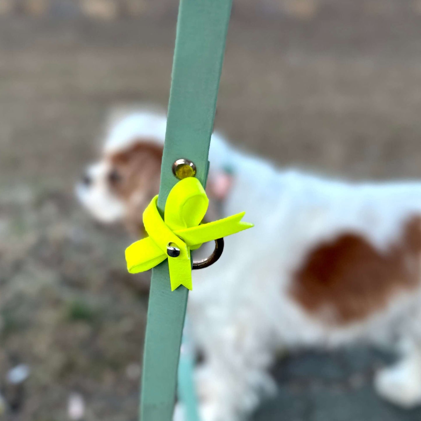 Gelbe Schleife für Hunde