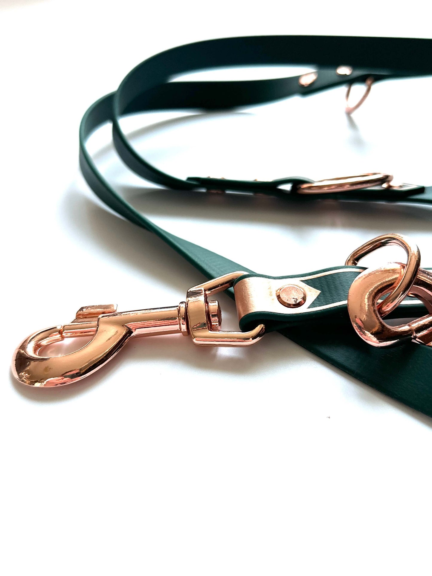 Eine Nahaufnahme der StallSchätze Hundeleine aus Biothane mit roségoldenen Applikationen, mit glänzendem roségoldenem Verschluss und Ringen, vor weißem Hintergrund.