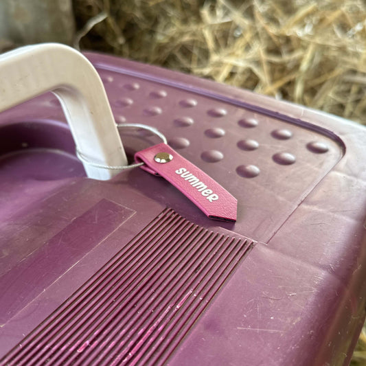 Nahaufnahme einer lilafarbenen StallSchätze Putzzeug-Beschriftung mit weißem Griff und einem kleinen rosafarbenen Schildchen mit der Aufschrift "Sommer" in Weiß. Im Hintergrund ist Stroh zu sehen, was darauf hindeutet, dass darin Pflegebürsten aufbewahrt werden.