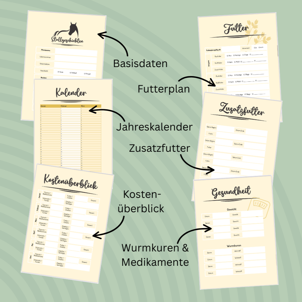 Das StallSchätze Stallgeschichten Reitertagebuch bietet ein Flussdiagramm mit sechs Pferdepflegevorlagen - Basisdaten, Futterplan, Jahreskalender, Zusatzfutter, Kostenüberblick, Gesundheit - sowie Bereiche für jahresunabhängige Notizen und Reitertagebucheinträge.