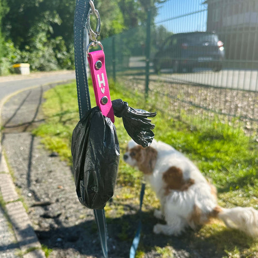 Ein rosafarbener StallSchätze Kackabeutel-Halter mit schwarzen Taschen hängt bei einem Spaziergang an der Leine, während im Hintergrund ein kleiner weißer und brauner Hund auf dem Gras in der Nähe des Bürgersteigs sitzt.