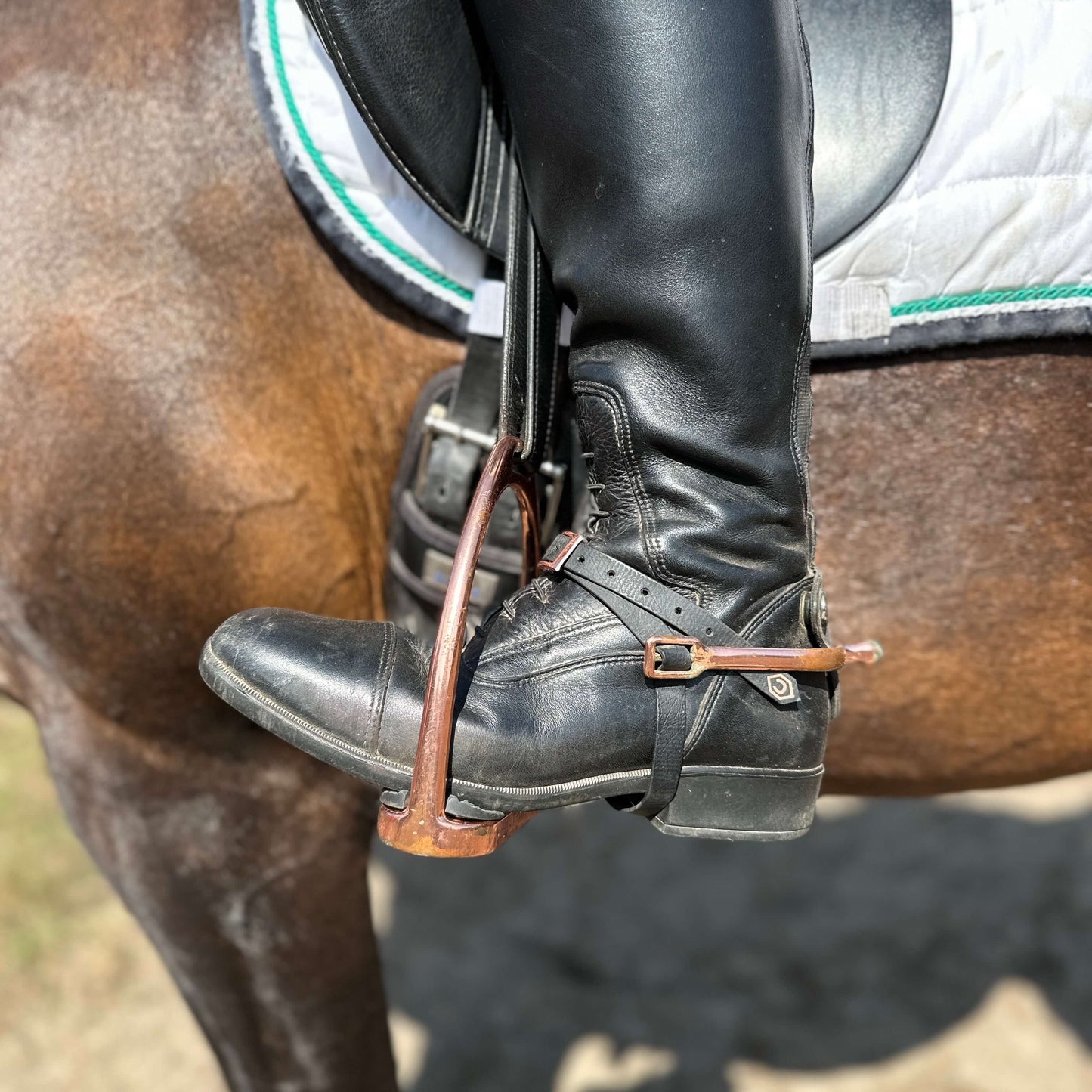 Eine Nahaufnahme zeigt einen StallSchätze Sporenriemen, der sicher um einen schwarzen Reitstiefel und Steigbügel auf einem braunen Pferd mit einer weißen Schabracke befestigt ist.