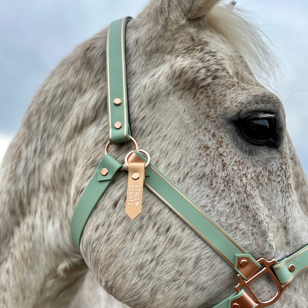 Nahaufnahme eines gescheckten Schimmels, der das grüne StallSchätze TESTPRODUKT bitte nicht bestellen Halfter mit Kupferbeschlägen trägt, vor einem bewölkten Himmel.