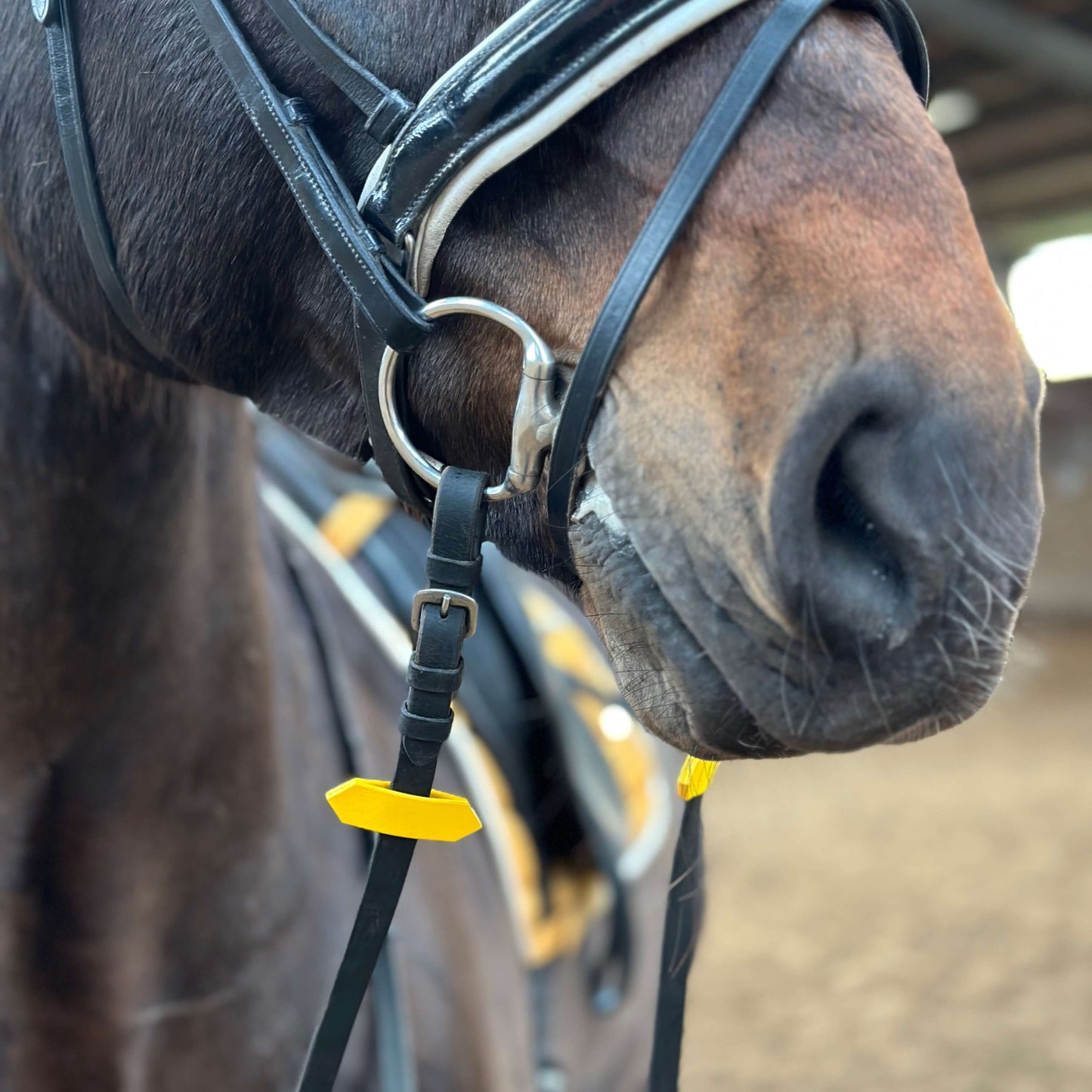 Ein Ausschnitt eines braunen Pferdes in der Reithalle, im Vordergrund die Nase mit Trense und gelben Zügelstoppern an den schwarzen Zügeln, im Hintergrund der Sattel, der auf einer gelben Schabracke liegt.