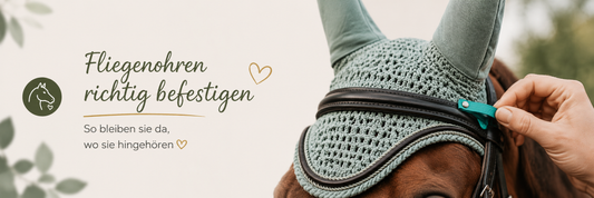 Fliegenohren befestigen: So verrutschen sie nicht mehr unter der Trense
