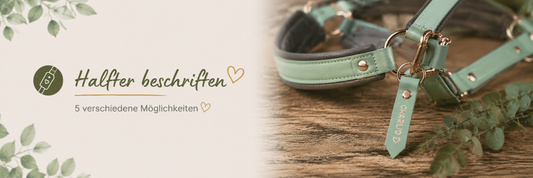 Halfter beschriften: 5 Möglichkeiten für Namen und Kennzeichnungen