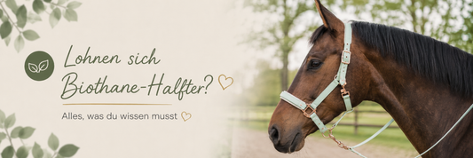 Lohnen sich Biothane-Halfter? Alles, was du wissen musst