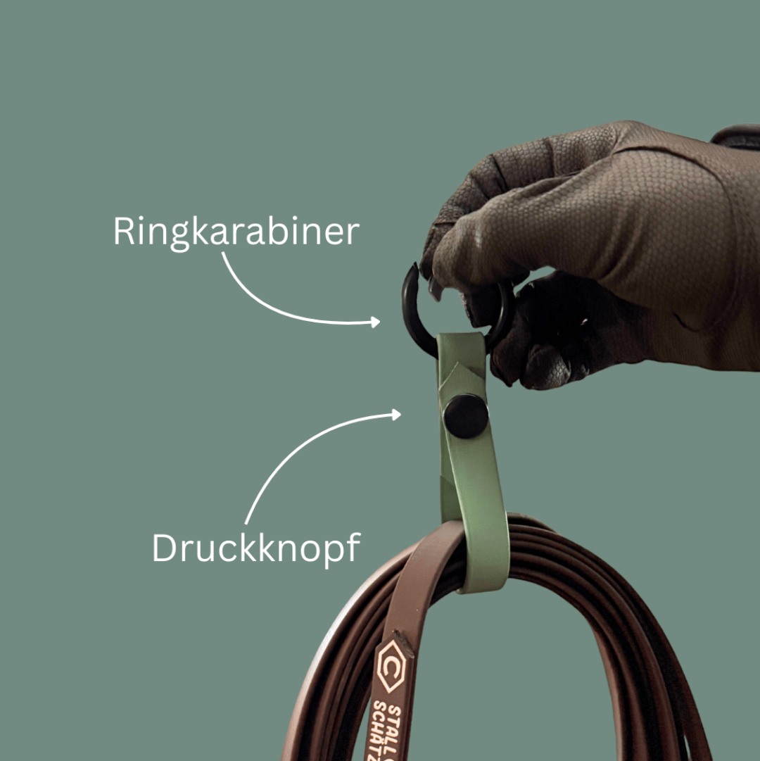 Eine behandschuhte Hand hält eine braune StallSchätze StallSchlaufe Longenhalter-Leine mit grünem Gurt, die mit Druckknopf und Ringkarabiner versehen ist, vor einem einfarbig grünen Hintergrund.