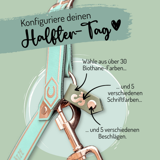 Abgebildet ist ein mintgrün-beiger StallSchätze Mini-Halfter-Tag mit goldenen Beschlägen. Deutscher Text unterstreicht Individualisierung: 30+ Biothane-Farben, 5 Schriftfarben und 5 Beschlagsarten. Hellgrüner Hintergrund.