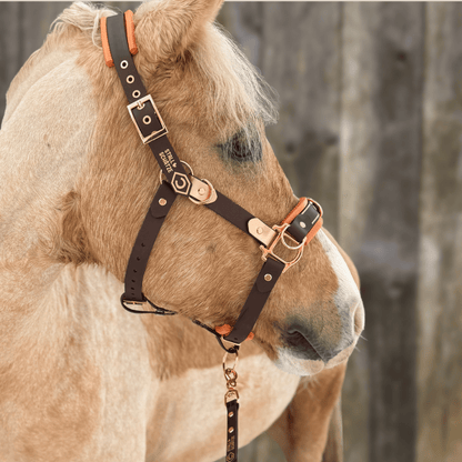 Ein hellbraunes Pferd trägt den StallSchätze HalfterSchatz, ein braunes und orangefarbenes Biothane-Halfter mit Metallschnallen, vor einem verschwommenen Holzzaun stehend und nach links blickend.