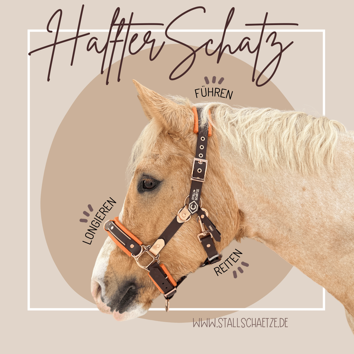 Ein hellbraunes Pferd trägt den HalfterSchatz, das wandelbare Biothane-Halfter von StallSchätze, in braun und orange. Abgebildet im Profil für die Verwendungszwecke: longieren, führen, reiten. www.stallschaetze.de.