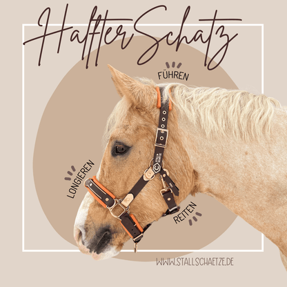 Ein hellbraunes Pferd trägt den HalfterSchatz, das wandelbare Biothane-Halfter von StallSchätze, in braun und orange. Abgebildet im Profil für die Verwendungszwecke: longieren, führen, reiten. www.stallschaetze.de.