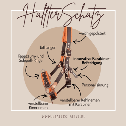 Der HalfterSchatz - das wandelbare Biothane-Halfter von StallSchätze ist in Braun und Schwarz abgebildet mit deutschen Labels zu verstellbarem Kinn- & Kehlriemen, weicher Polsterung, Ringen für Sidepull/Trense und Clip-Verschluss. www.stallschaetze.de unten.