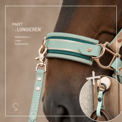 HalfterSchatz – das wandelbare Biothane-Halfter zum Führen, Longieren und Reiten