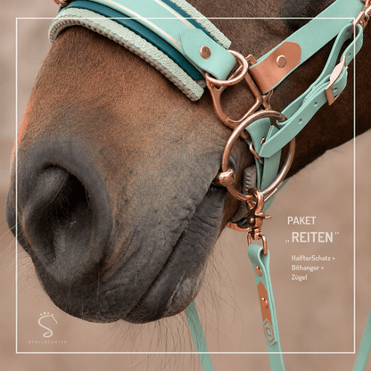 HalfterSchatz – das wandelbare Biothane-Halfter zum Führen, Longieren und Reiten