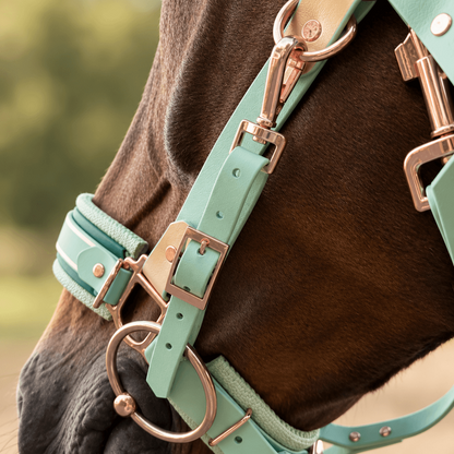 Edle Biothane-Bithanger mit Schnappkarabiner