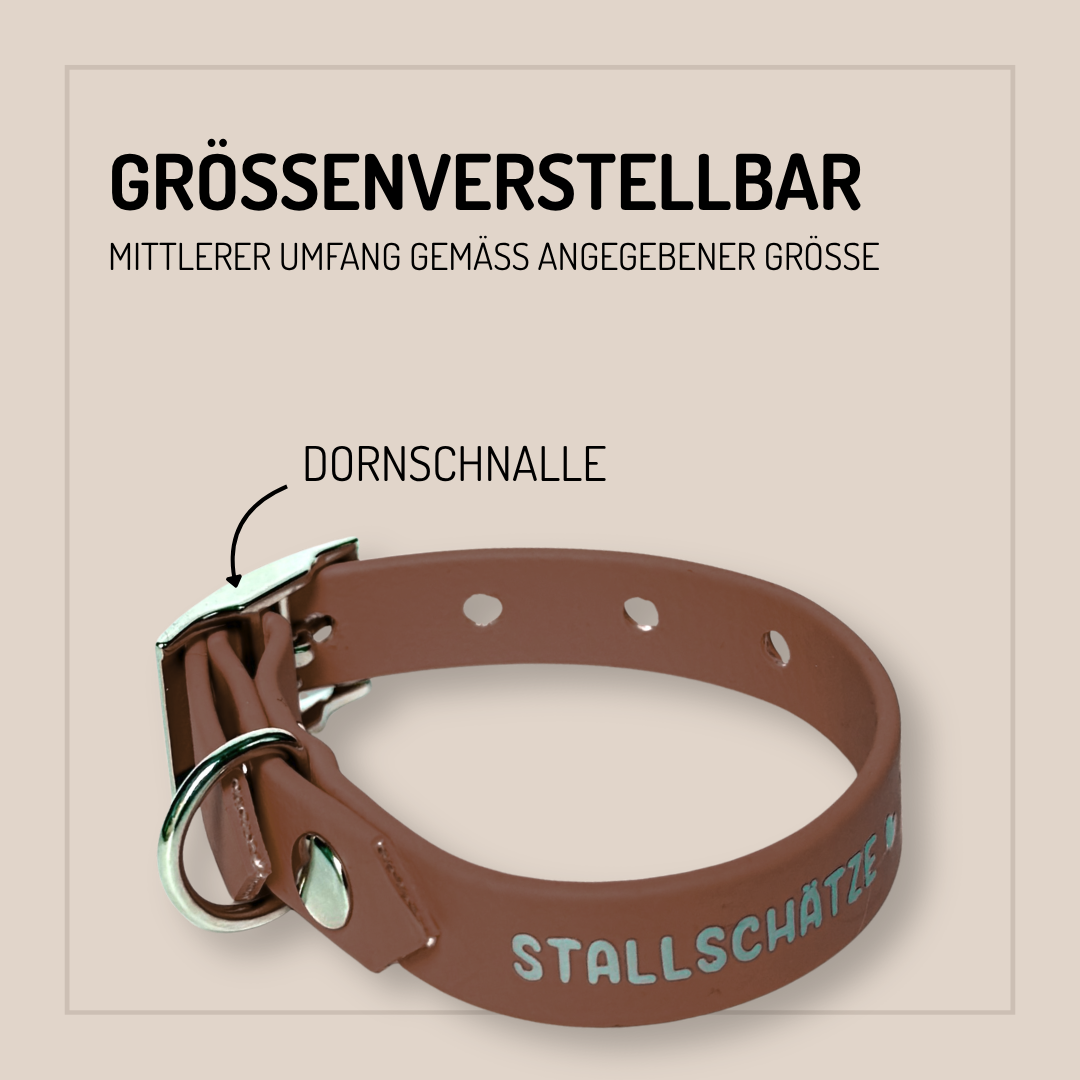 Ein braunes Biothane Hundehalsband - individuell konfigurierbar von StallSchätze, mit silberner Dornschließe und Metallring, auf beigem Hintergrund mit deutscher Größenanleitung.