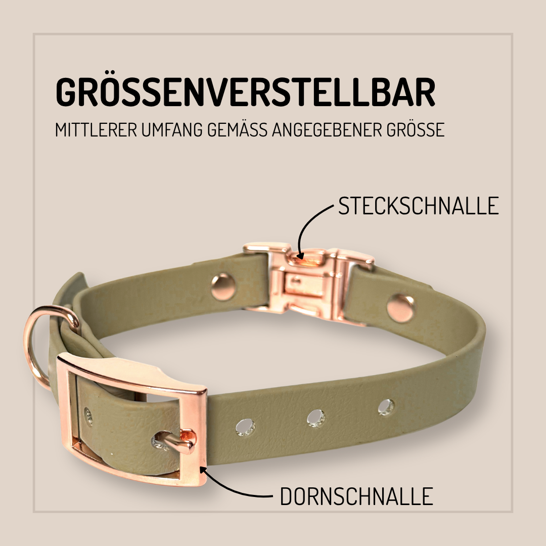 Das StallSchätze Biothane Hundehalsband - individuell konfigurierbar mit Dornschnalle oder Steckschnalle und goldfarbener Hardware, grün, präsentiert auf beigem Hintergrund mit deutscher Größentabelle.