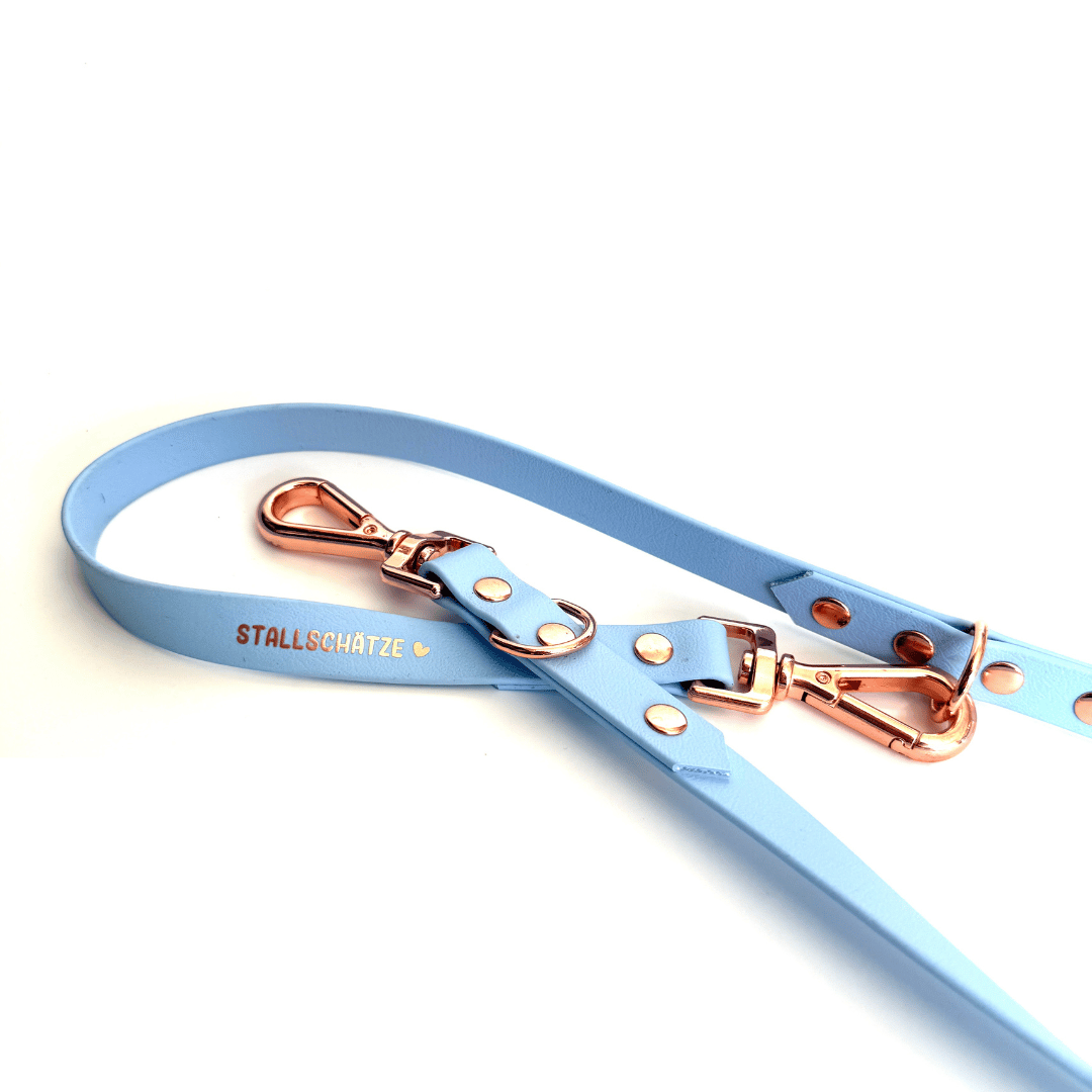 Die Biothane-Hundeleine 2m - individuell konfigurierbar von StallSchätze in hellblau mit roségoldenen Beschlägen ist mit einem silber-roten Herz und einem STALLSCHÄTZE-Druck auf dem Band versehen, der auf weißem Hintergrund abgebildet ist.