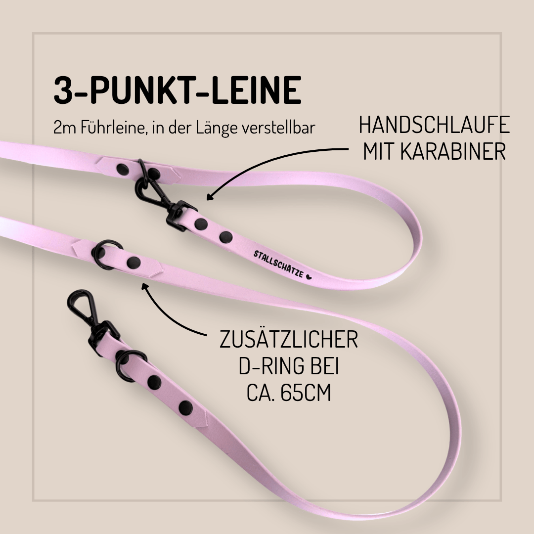 Die StallSchätze Biothane-Hundeleine 2m - individuell konfigurierbar in Pink bietet schwarze Hardware, Handschlaufe mit Karabiner, einen zusätzlichen D-Ring bei ca. 65 cm und flexible Anpassungsmöglichkeiten.