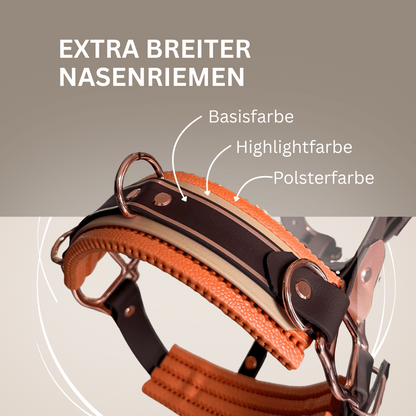Eine Nahaufnahme des StallSchätze HalfterSchatz - das wandelbare Biothane-Halfter mit extra breitem Nasenriemen, beschriftet mit Basisfarbe, Highlightfarbe und Polsterfarbe.