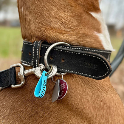 Hunde-Notfallmarke