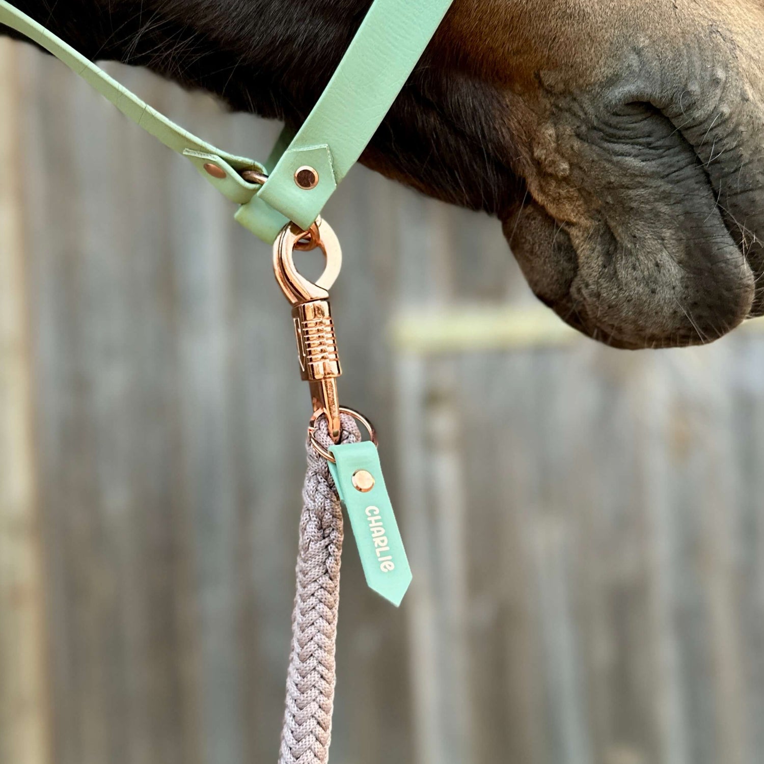Nahaufnahme der Schnauze eines Pferdes in einem mintgrünen Halfter mit goldenem Verschluss und geflochtenem beigen Führstrick. Daran befestigt ist eine StallSchätze Personalisierter Anhänger Halfter- & Strick-Beschriftung mit dem Namen "CHARLIE". Unscharfer Holzzaun im Hintergrund.