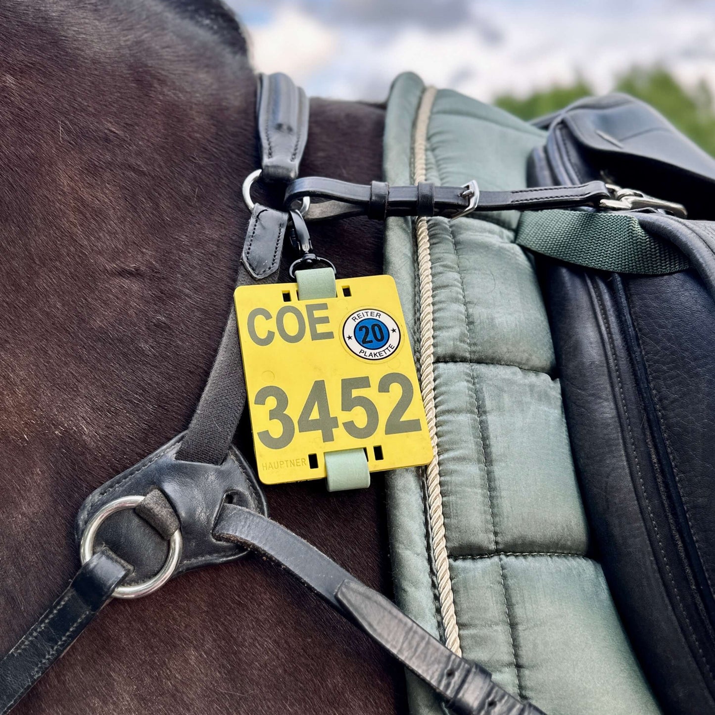 Halter für Reiterplaketten (Paar)