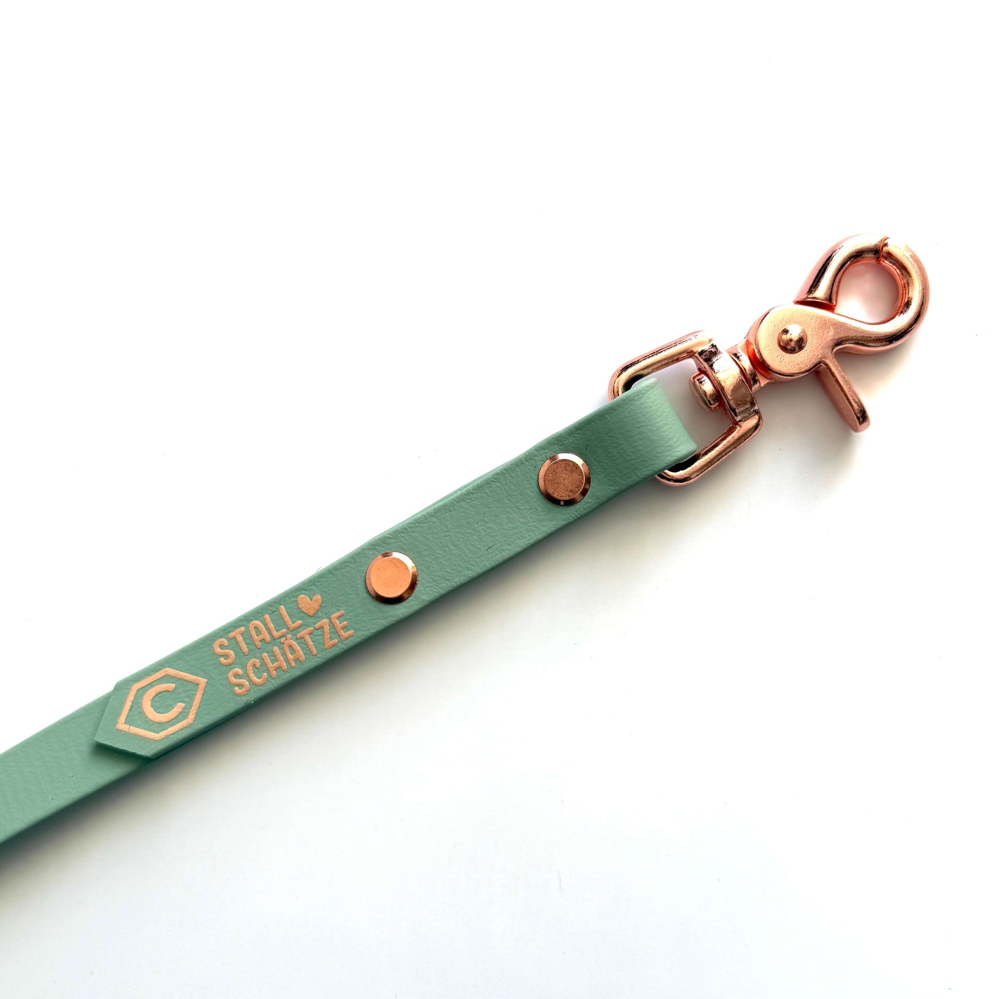 Die Biothane-Longe 8 Meter von StallSchätze in Mintgrün mit roségoldenem Verschluss und "STALL SCHÄTZE"-Aufdruck samt Hexagon-Logo - pflegeleicht, stilvoll und perfekt für den Stall.