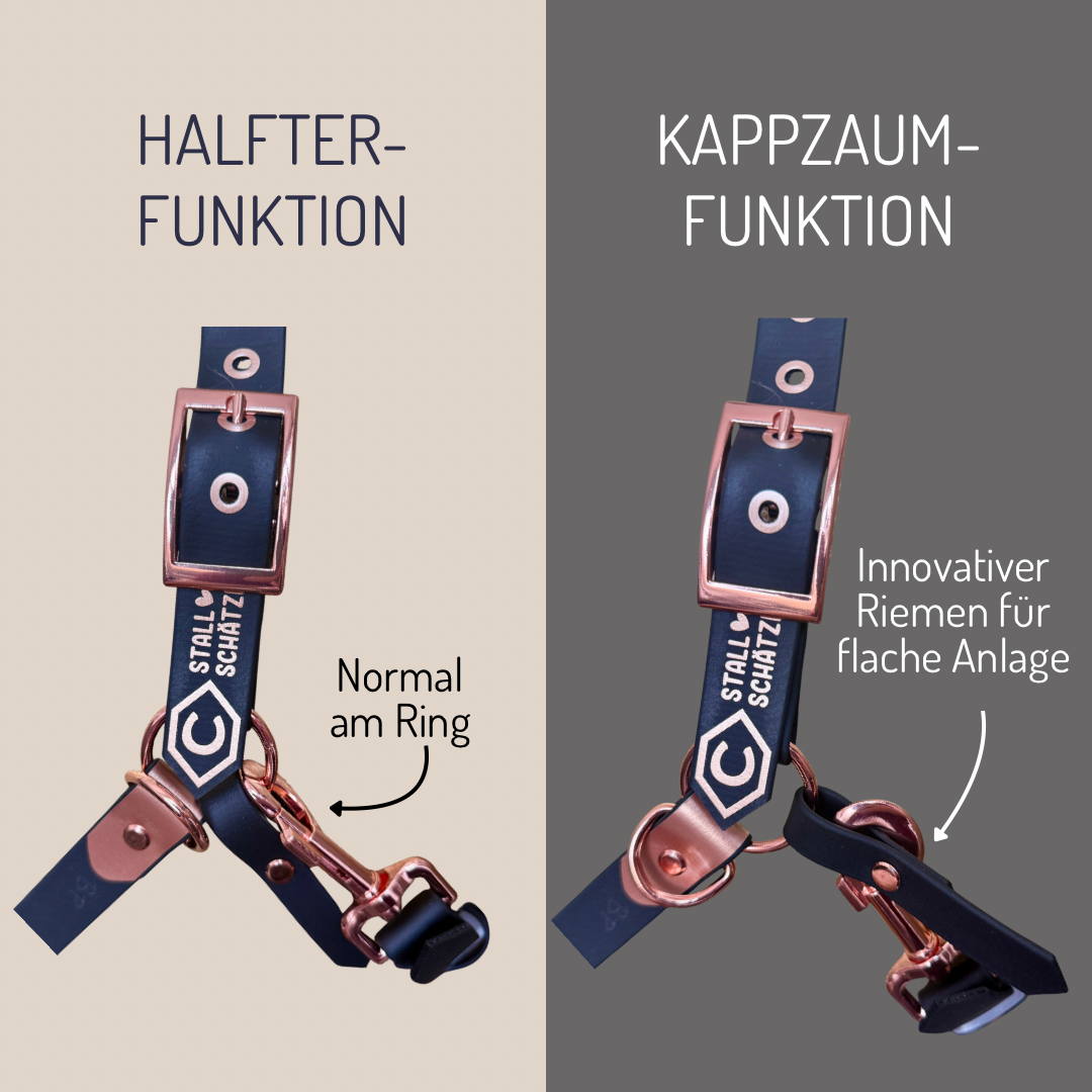 Ein Vergleich zweier StallSchätze HalfterSchatz Biothane-Halfter in Schwarz und Roségold auf beigem und grauem Hintergrund: links mit Standardring, rechts mit innovativem Flachband. Deutsche Etiketten beschreiben Funktionen.