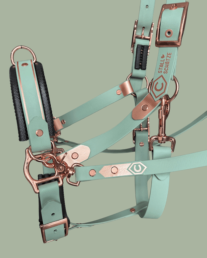 Eine Nahaufnahme des Biothane-Zügels mit Scherenkarabinern von StallSchätze, dargestellt mit schwarzer Polsterung und Metallbeschlägen, mit dem reißfesten StallSchätze-Logo auf gedämpftem grünen Hintergrund.