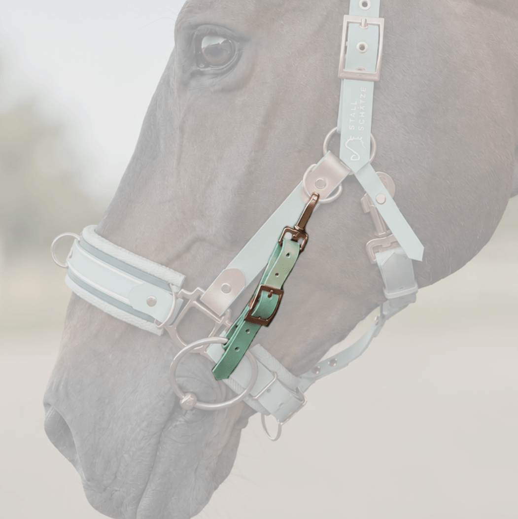Edle Biothane-Bithanger mit Schnappkarabiner