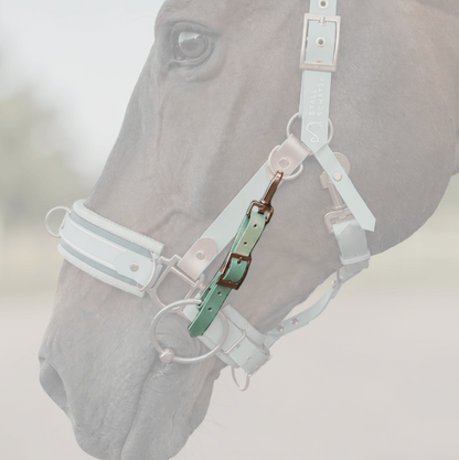 Edle Biothane-Bithanger mit Schnappkarabiner