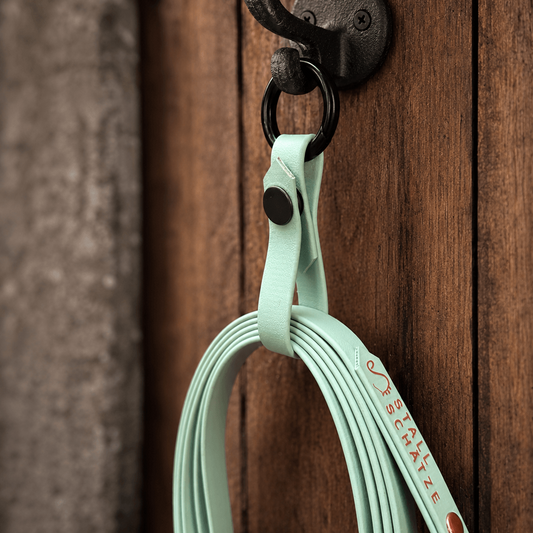 StallSchlaufe – der praktische Longenhalter